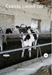 ����� "������ ����� ����"