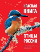 Книга "Красная книга. Птицы России"