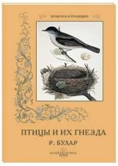 Книга "Птицы и их гнезда"
