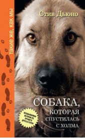 Книга "Собака, которая спустилась с холма. Незабываемая история Лу, лучшего друга и героя"