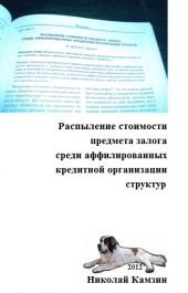 Книга "Распыление стоимости предмета залога среди аффилированных кредитной организации структур"