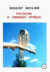 Книга "Рассказы о хищных птицах"